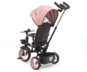 Milly Mally Rowerek Trójkołowy Twinkle Pink