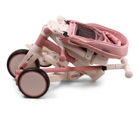 Milly Mally Rowerek Trójkołowy Zippy Pink