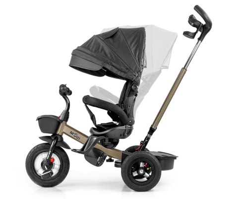 Milly Mally Rowerek Trójkołowy Movi Gold