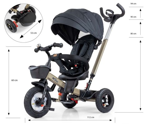 Milly Mally Rowerek Trójkołowy Movi Gold